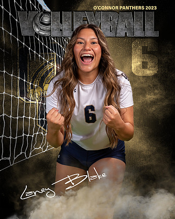 OC_VB_Var_Ind2-36