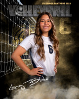 OC_VB_Var_Ind2-21