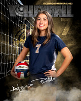 OC_VB_Var_Ind2-52