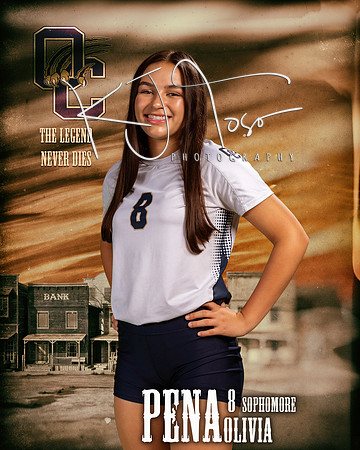OC_VB_Var_Ind1-08