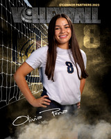 OC_VB_Var_Ind2-23