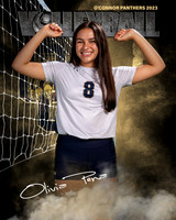 OC_VB_Var_Ind2-38