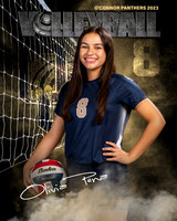 OC_VB_Var_Ind2-53