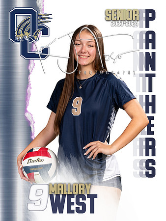 OC_Var_Banners-09
