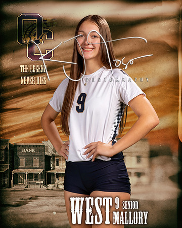 OC_VB_Var_Ind1-09