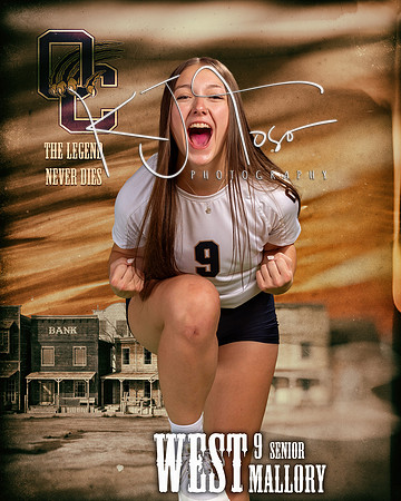OC_VB_Var_Ind1-39