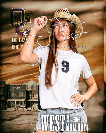 OC_VB_Var_Ind1-69