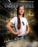 OC_VB_Var_Ind2-24