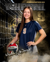 OC_VB_Var_Ind2-54