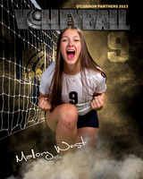 OC_VB_Var_Ind2-39