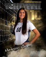 OC_VB_Var_Ind2-10