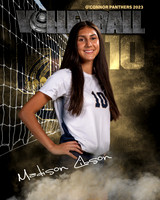 OC_VB_Var_Ind2-25