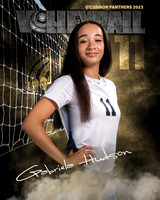 OC_VB_Var_Ind2-26