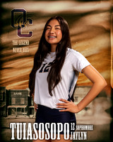 OC_VB_Var_Ind1-12