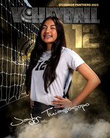 OC_VB_Var_Ind2-12
