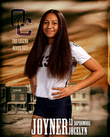 OC_VB_Var_Ind1-13