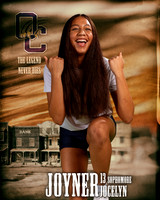 OC_VB_Var_Ind1-43