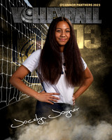 OC_VB_Var_Ind2-28