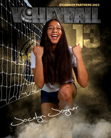 OC_VB_Var_Ind2-43