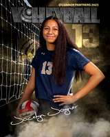 OC_VB_Var_Ind2-58