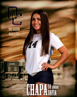 OC_VB_Var_Ind1-14