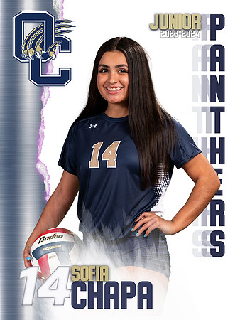 OC_Var_Banners-14