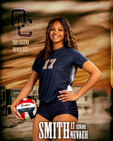 OC_VB_Var_Ind1-60