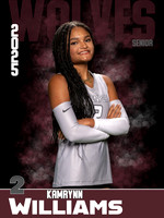 DHS_VB_Var_Ind1-17