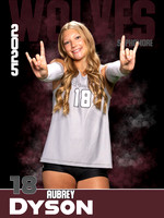 DHS_VB_Var_Ind1-75