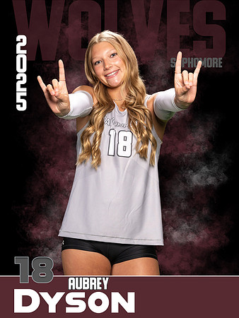DHS_VB_Var_Ind1-75