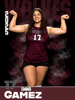 DHS_VB_JV_Ind1-79