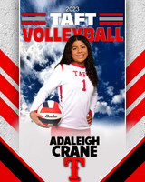 Taft_VB_9th_Ind1-40