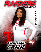 Taft_VB_Ind2-01