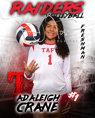 Taft_VB_Ind2-53