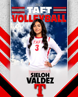 Taft_VB_9th_Ind1-02
