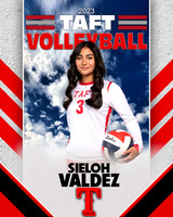 Taft_VB_9th_Ind1-41
