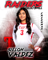 Taft_VB_Ind2-02