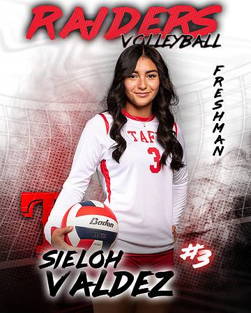 Taft_VB_Ind2-28