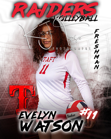 Taft_VB_Ind2-49