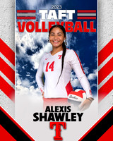 Taft_VB_JV_Ind1-43