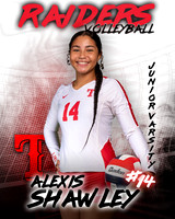Taft_VB_JV_Ind2-43