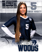 Boerne_VB_Var_Ind1-17