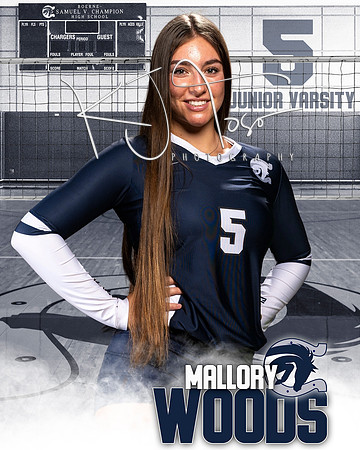 Boerne_VB_Var_Ind1-17