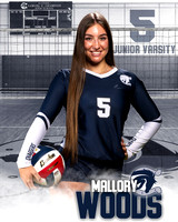 Boerne_VB_Var_Ind1-29