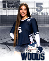 Boerne_VB_Var_Ind1-41