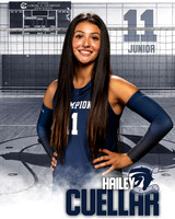 Boerne_VB_Var_Ind1-08