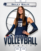 Boerne_VB_Var_Ind2-90