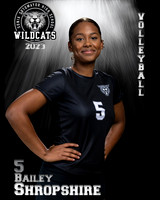 Soto_VB_9th_Ind2-17