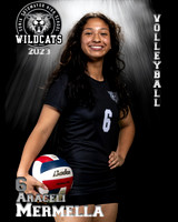 Soto_VB_9th_Ind2-32