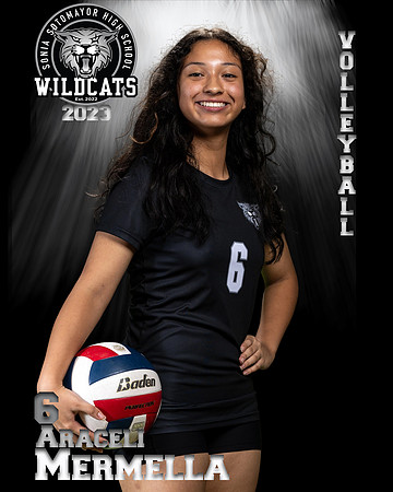 Soto_VB_9th_Ind2-32